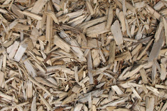 biomass boilers Fangdale Beck